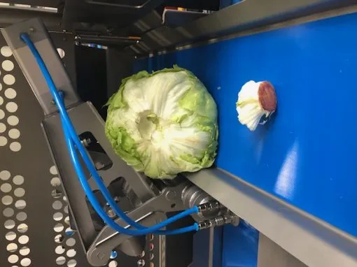 Hitec DCM Series, Single or Twin Line.