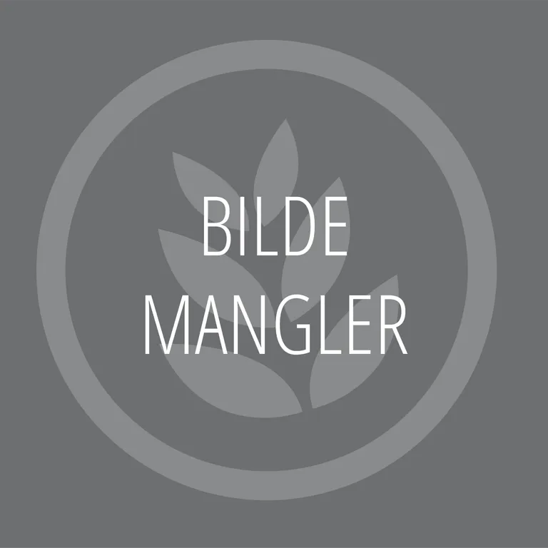 Voran pasteurisering med flasker i vann 