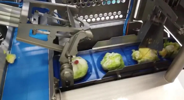 Hitec DCM Series, Single or Twin Line.